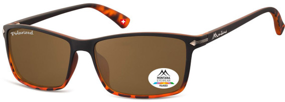 SFE-9867 sunglasses in Black/Turtle/Brown