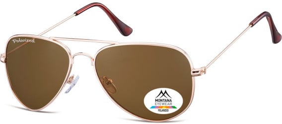 SFE-9873 sunglasses in Matt Gold