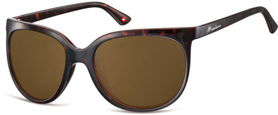 SFE-9905 sunglasses in Turtle/Brown