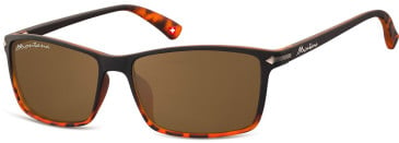 SFE-9916 sunglasses in Black/Turtle/Brown