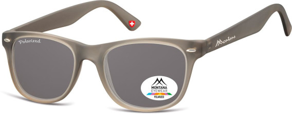 SFE-10614 sunglasses in Grey