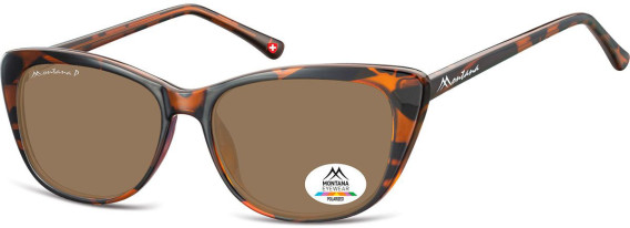 SFE-10616 sunglasses in Turtle/Brown