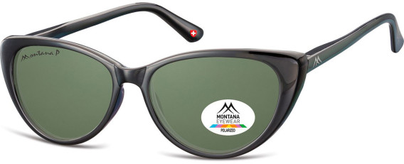 SFE-10617 sunglasses in Black/Green