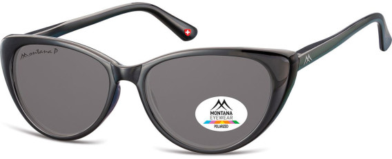 SFE-10617 sunglasses in Black/Grey