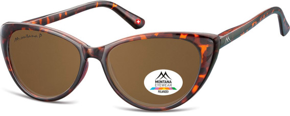 SFE-10617 sunglasses in Turtle/Brown