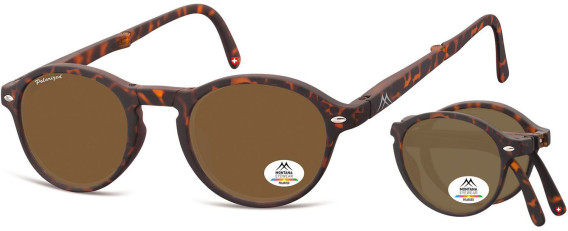 SFE-10619 sunglasses in Turtle/Brown
