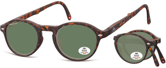 SFE-10619 sunglasses in Turtle/Green