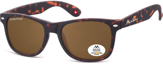 SFE-11339 sunglasses in Turtle/Brown
