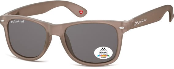 SFE-11339 sunglasses in Grey