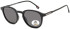 SFE-11342 sunglasses in Black/Grey