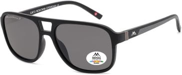 SFE-11343 sunglasses in Black/Grey