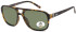 SFE-11343 sunglasses in Demi