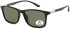 SFE-11344 sunglasses in Matt Black/Green