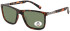 SFE-11346 sunglasses in Matt Demi/Green