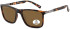 SFE-11346 sunglasses in Matt Demi/Brown