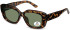SFE-11347 sunglasses in Shiny Turtle