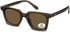 SFE-11351 sunglasses in Matt Turtle/Brown