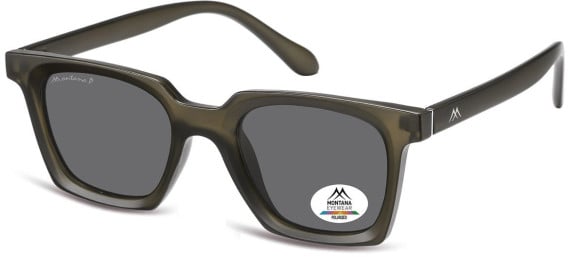 SFE-11351 sunglasses in Matt Grey