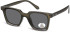 SFE-11351 sunglasses in Matt Grey