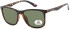 SFE-11352 sunglasses in Matt Demi/Green