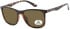 SFE-11352 sunglasses in Matt Demi/Brown