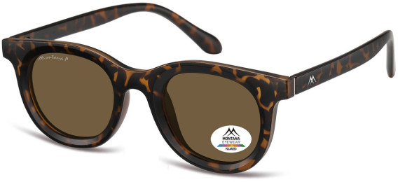 SFE-11354 sunglasses in Matt Turtle/Brown