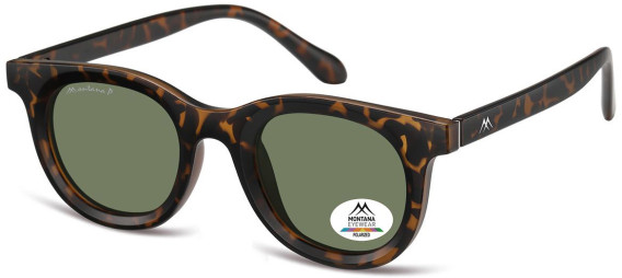 SFE-11354 sunglasses in Matt Turtle/Green