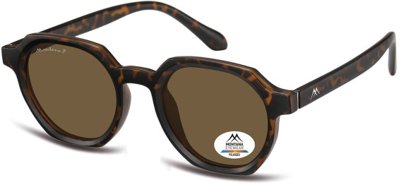 SFE-11355 sunglasses in Matt Turtle/Brown