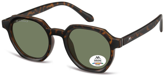 SFE-11355 sunglasses in Matt Turtle/Green