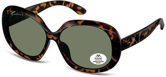 SFE-11356 sunglasses in Shiny Turtle