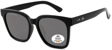 SFE-11364 sunglasses in Shiny Black/Grey