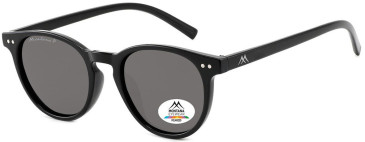 SFE-11367 sunglasses in Shiny Black/Grey