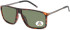 SFE-11370 sunglasses in Demi/Green