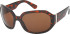 SFE-11376 sunglasses in Turtle