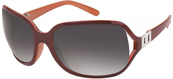SFE-11377 sunglasses in Brown