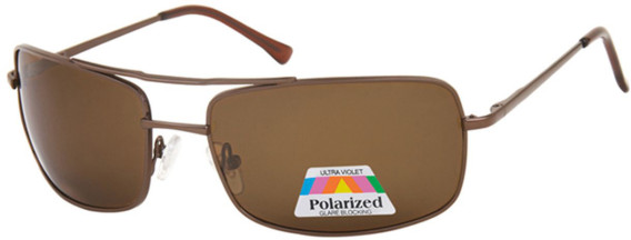 SFE-11379 sunglasses in Brown