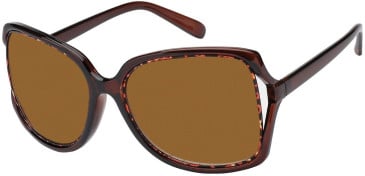 SFE-11385 sunglasses in Brown