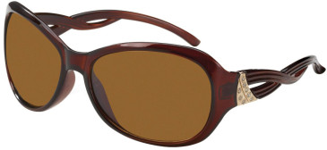 SFE-11392 sunglasses in Brown