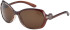 SFE-11393 sunglasses in Brown