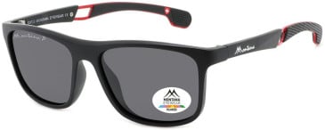 SFE-11401 sunglasses in Black/Grey