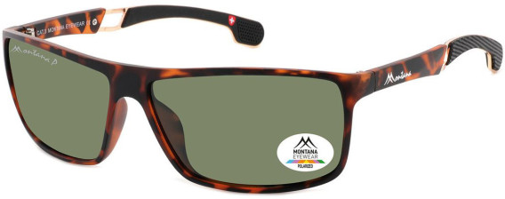 SFE-11402 sunglasses in Demi/Black