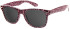 SFE-11406 sunglasses in Purple/Pink