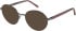 Barbour BAO-1015 Sunglasses in Matt Gun