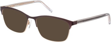 Barbour BAO-1014 Sunglasses in Matt Brown