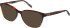 Barbour BAO-1011 Sunglasses in Horn