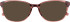 Barbour BAO-1011 Sunglasses in Pink