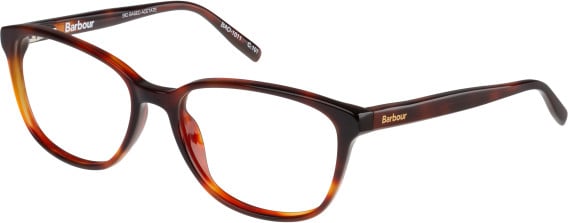 Barbour BAO-1011 glasses in Horn