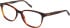 Barbour BAO-1011 glasses in Horn