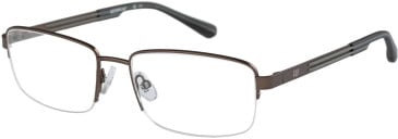 CAT CTO-3031 glasses in Brown