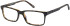 CAT CTO-3036 glasses in Black